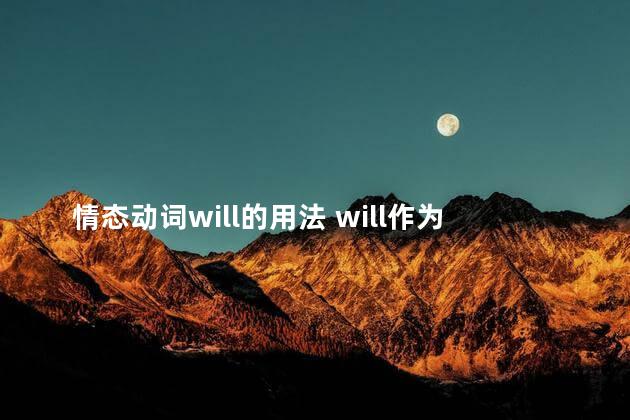 情态动词will的用法 will作为情态动词的意思